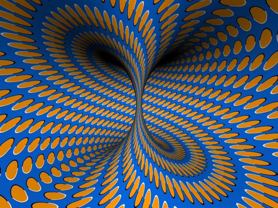 torus optical illusions.